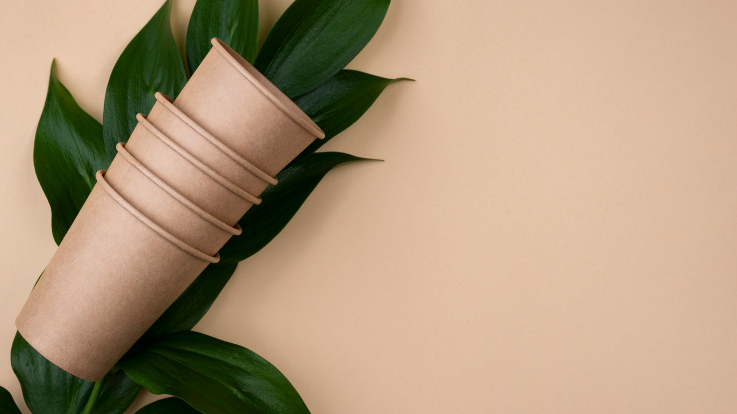 compostable drinkware