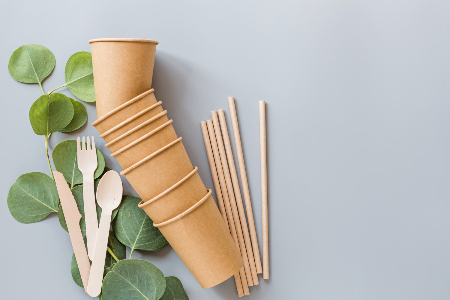 Compostable Drinkware