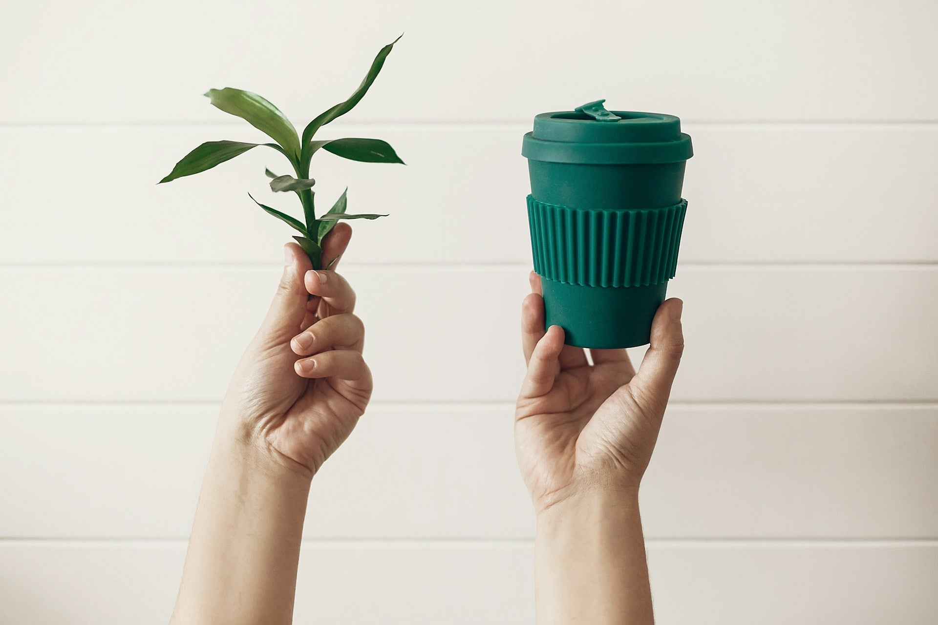 compostable drinkware