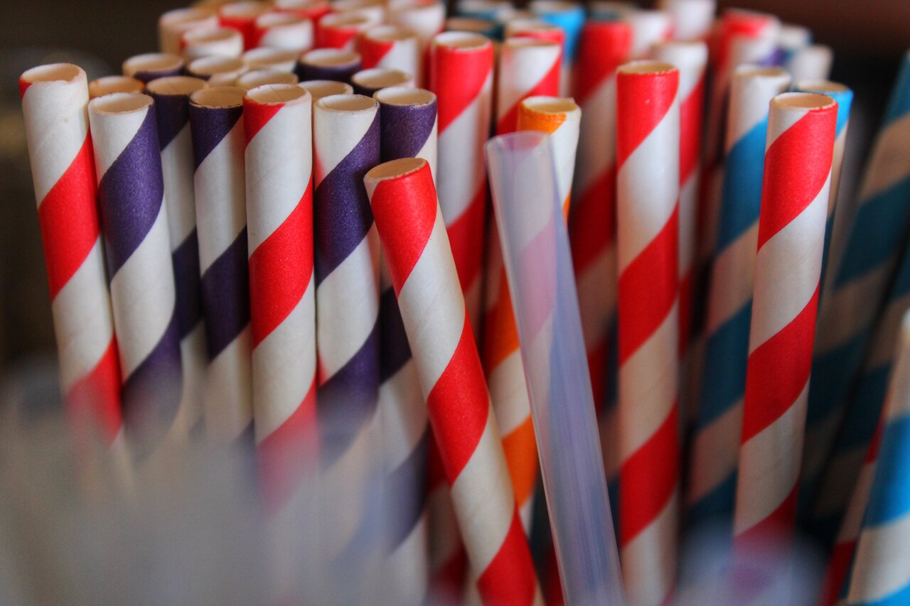 Eco straws