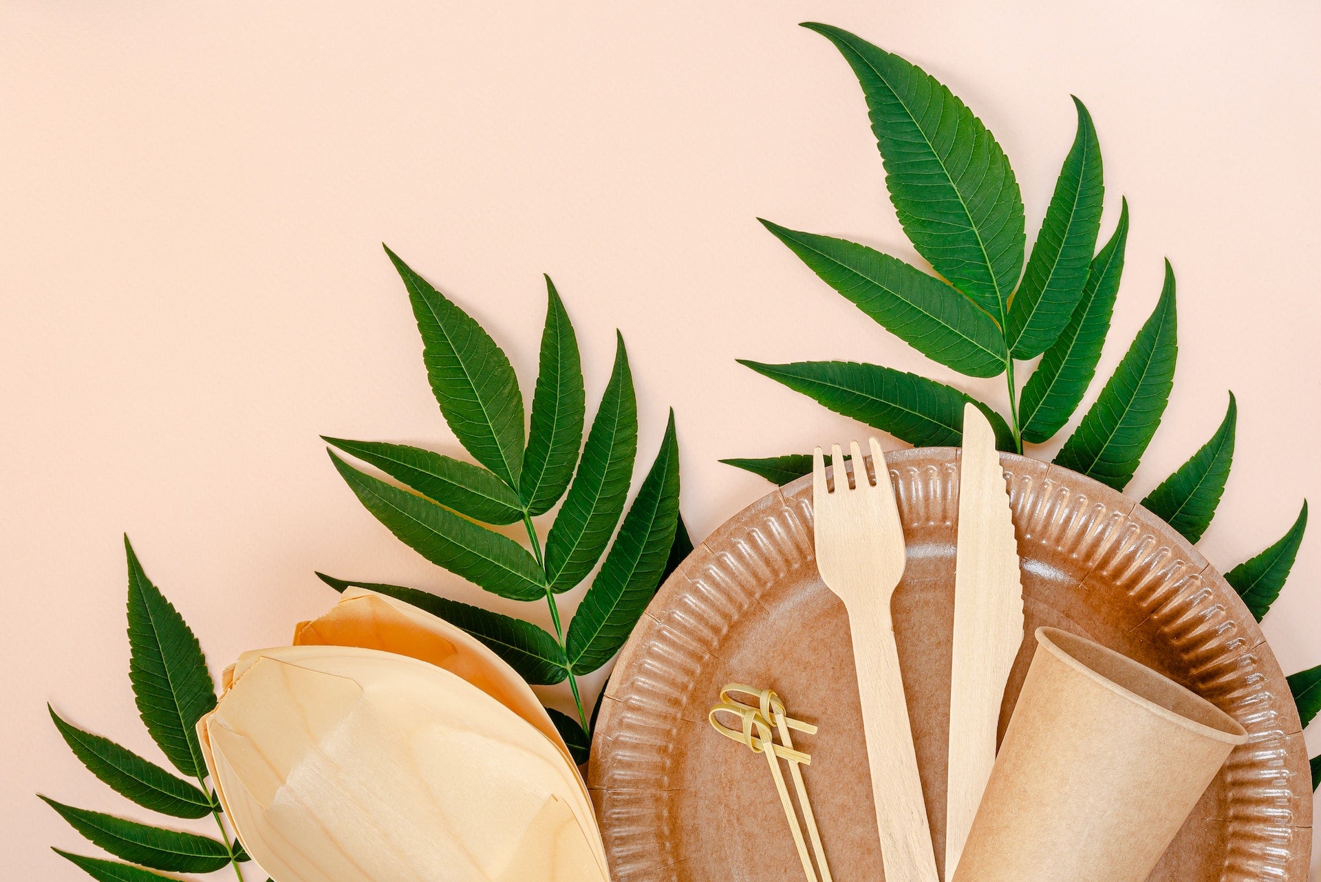 Practical Tips for Reducing Single-Use Plastic in Restaurants and Bars