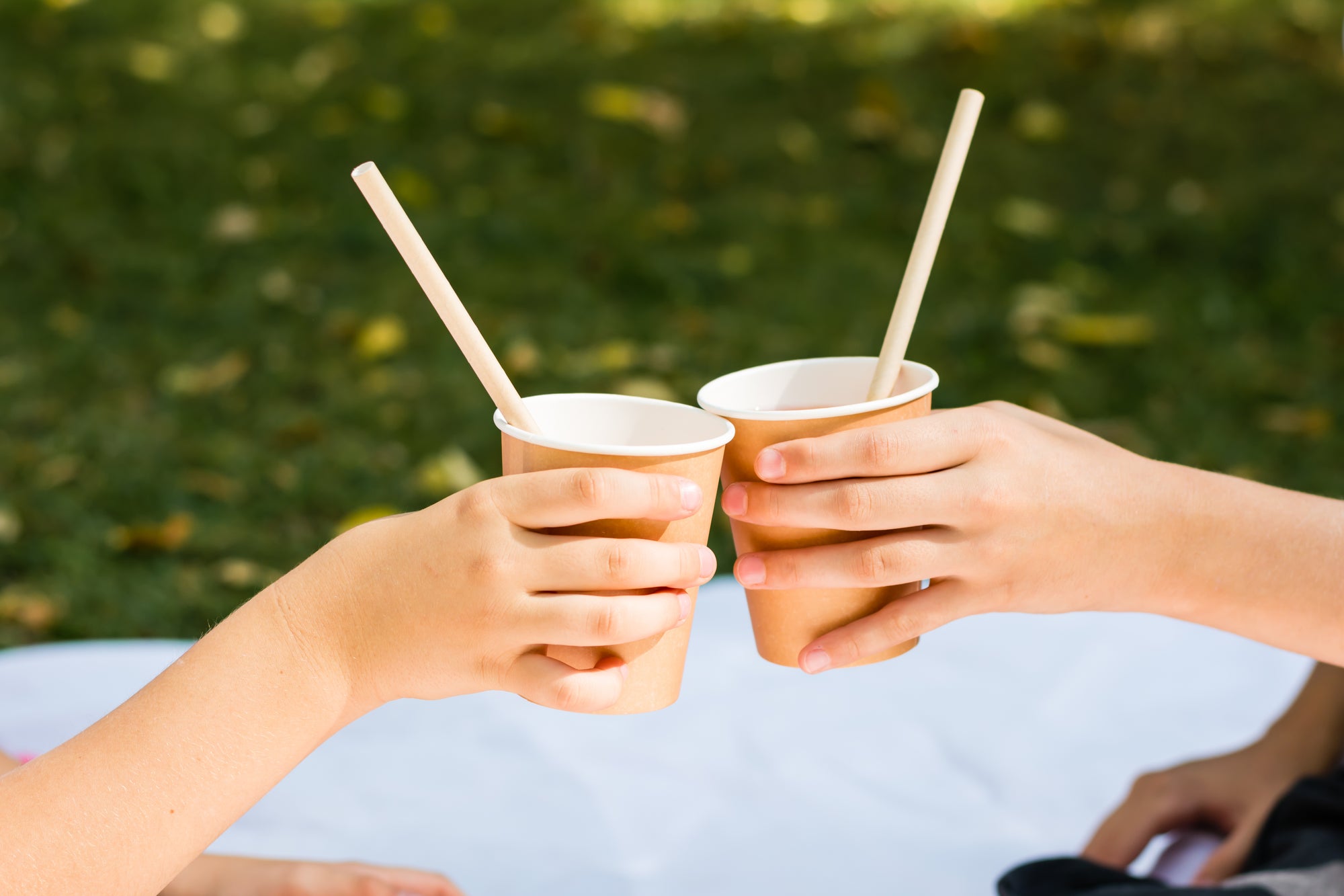 Biodegradability Explained: What Happens to Your Compostable Straw After Use