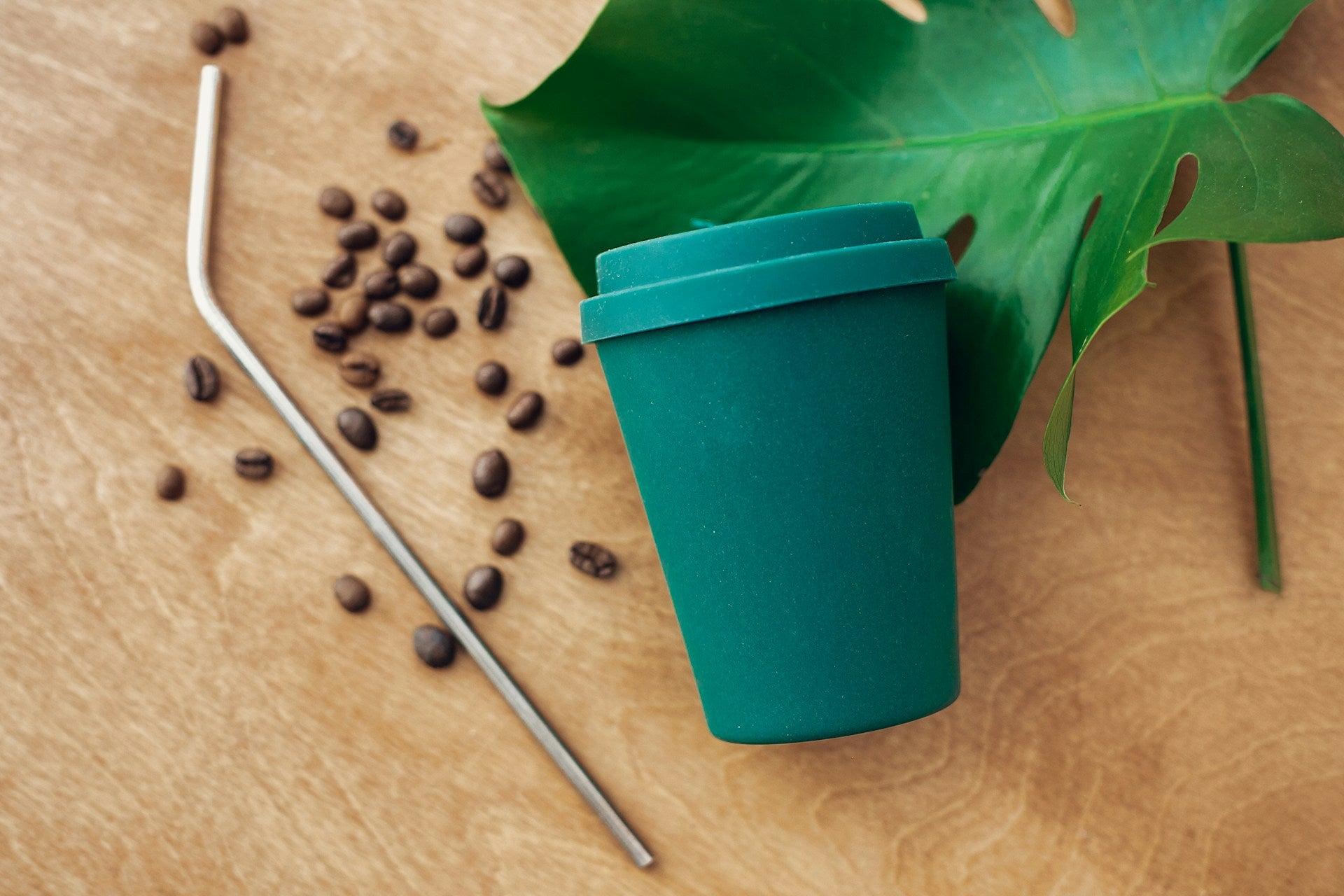 compostable drinkware